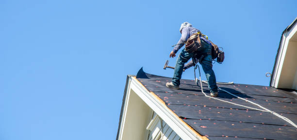 Best Gutter Installation and Roofing  in Port Norris, NJ